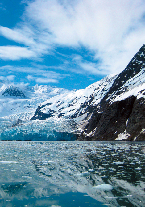 알래스카를 대표하는 빙하의 풍경