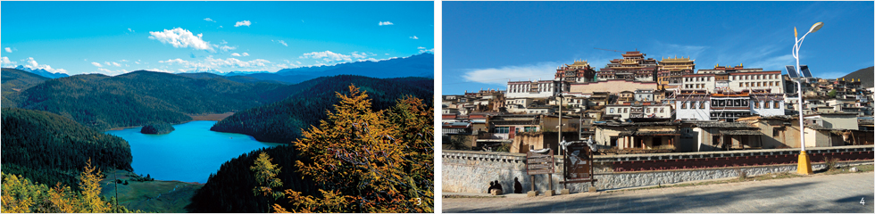 3 샹그릴라에서 가장 인기 있는 관광지인 벽탑해 국가공원, 4 티베트 불교 최고의 사원인 송찬림사