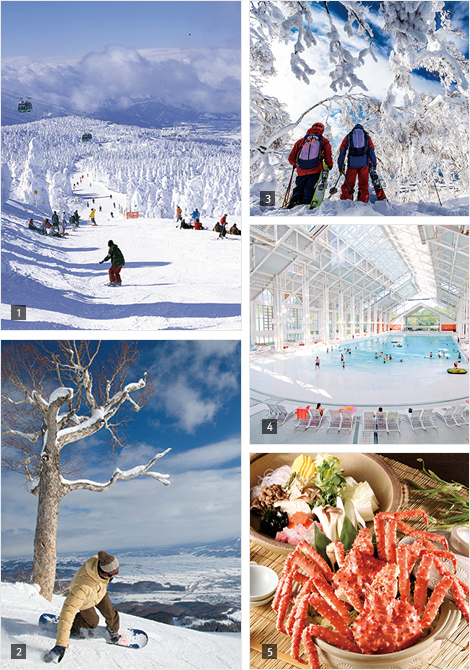 일본으로 떠나는 스키 여행
